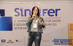 II Seminário de Saúde e Segurança do setor Metalmecânico 2013